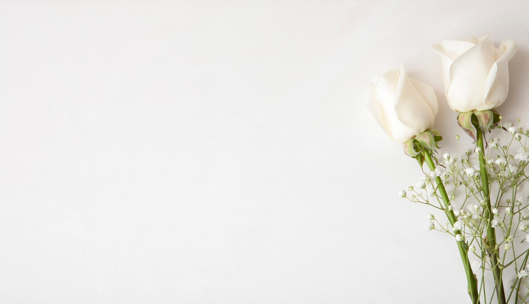 White Rose Wedding Invitation